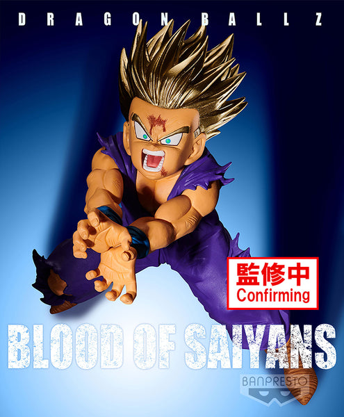 Dragon Ball Z Blood of Saiyans Special XI Gohan